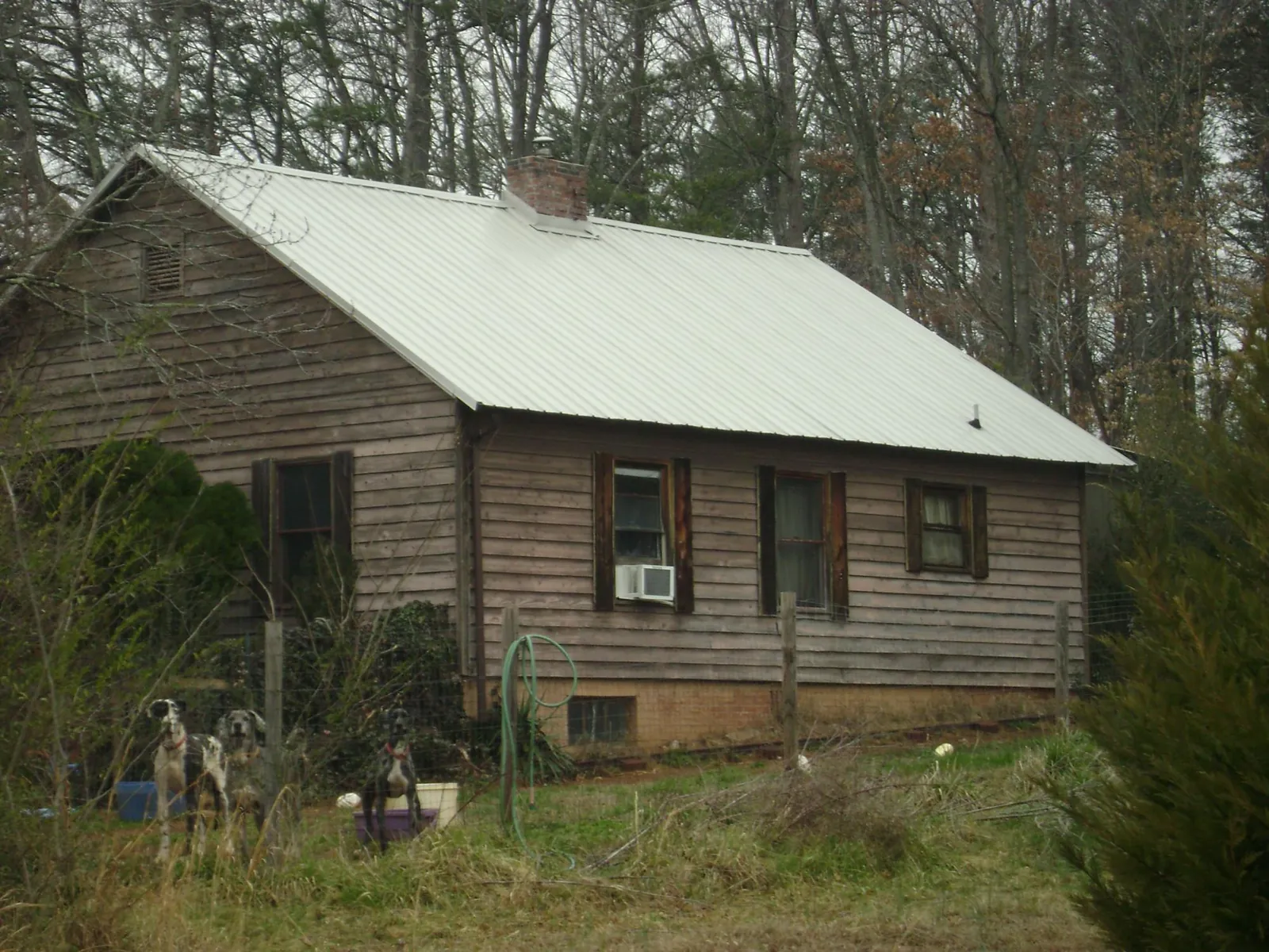 White metal roof on an old wood sided farmhouse, from a Metal Roof Installation job in Niagara Falls